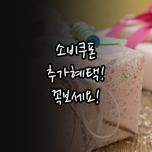 소비쿠폰 2차 사용처 및 특별 추가 혜택 안내