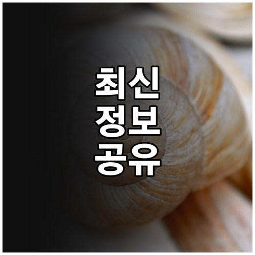 상생소비지원금 2021년 종료 신청 페이백 핵심 요약