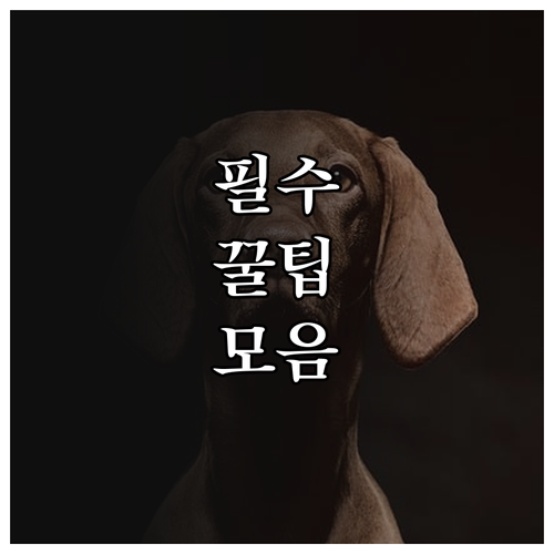 간편한 대형폐기물 처리! 동구 온라인 신고 3단계