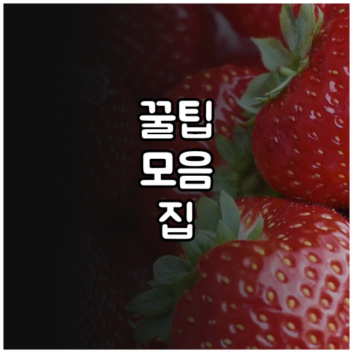 과태료 100만원 막는 서초구 대형폐기물 배출 주의사항