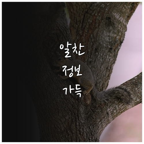 청학동 가구, 가전제품 폐기물: 과태료 없는 올바른 버리기