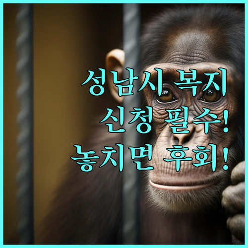 2025년 성남시 통합복지카드 신규 발급수수료 지원 총정리