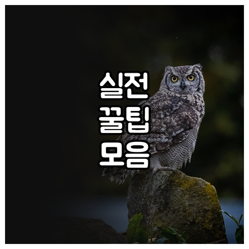 대형폐기물 버릴 때? 부산 중구 온라인 처리법 필수 확인
