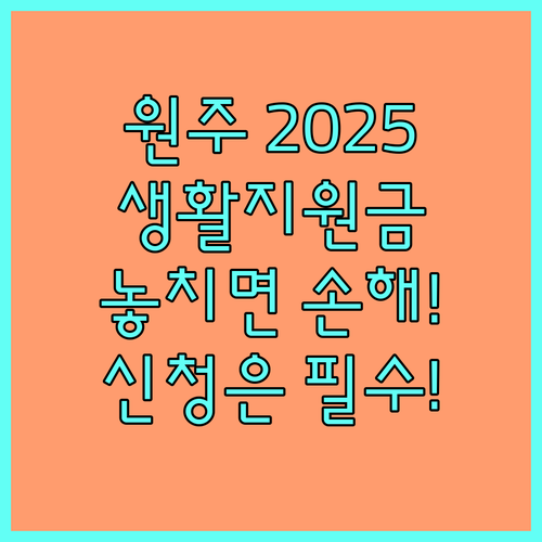 2025년 원주시 생활안정지원금 신청 대상 및 방법 상세 안내