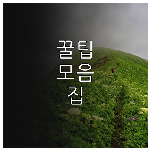 영등포 대형폐기물 처리, 과태료 없이 버리는 법