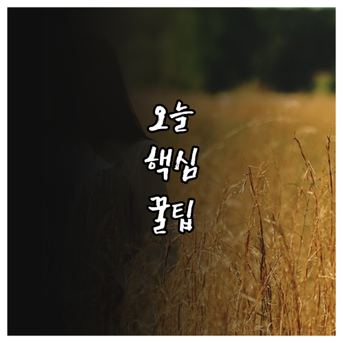 영등포구 대형폐기물 배출 시간 장소 스티커 부착 핵심 정리