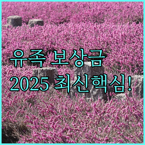 특수임무수행자 유족 보상금 신청 2025년 최신 정보 총정리