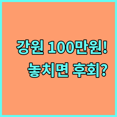 2025 강원 다자녀 대학 등록금 100만원 지원 신청 대상과 방법