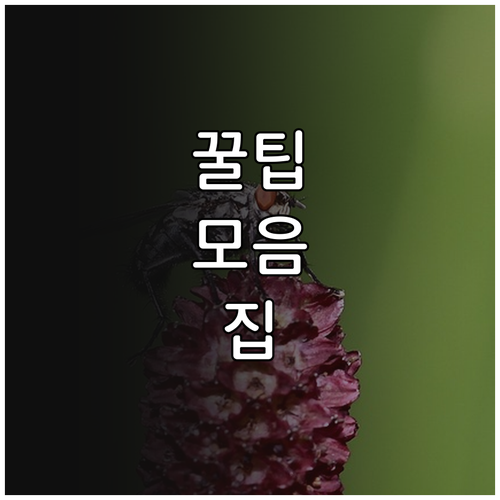 학장동 가스 누출 비상! 24시간 대처법과 고객센터 총정리