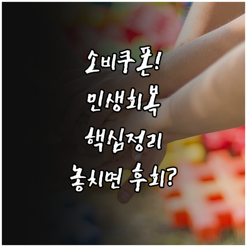 민생회복 소비쿠폰으로 본 지역 경제 활성화 정책