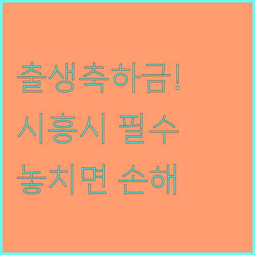 2025 시흥시 출생축하금 지원 대상 금액부터 신청까지 안내