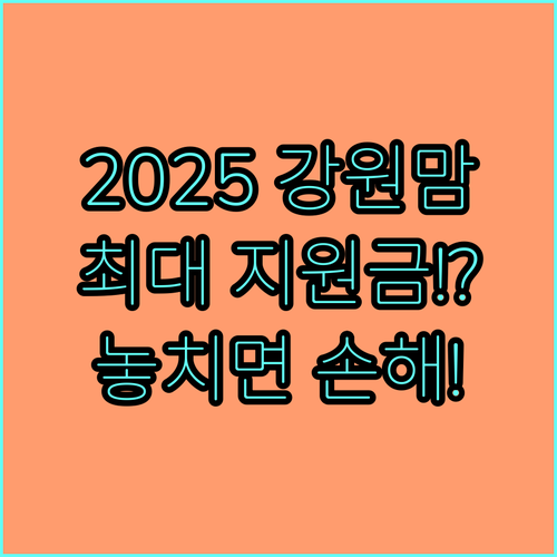 강원특별자치도 산후 건강관리 지원금 2025 신청 대상 금액 절차 완벽 분석
