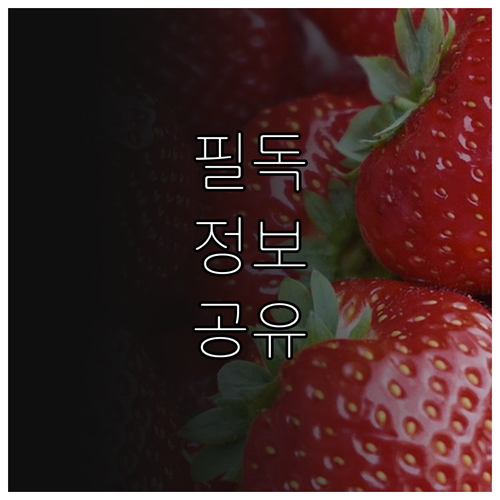 카드 매입 지연과 상생 캐시백, 소비자가 알아야 할 것