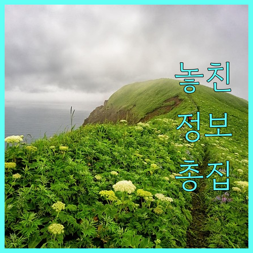 수원시 출생 입양 지원금 2025 꼭 알아야 할 것
