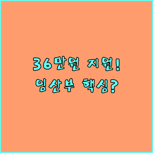 동작구 2025 임산부 친환경 꾸러미 최대 36만원 지원 핵심 총정리