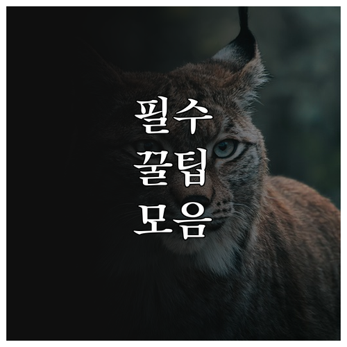 동작구 상도동 대형폐기물 처리, 온라인 스티커로 끝!