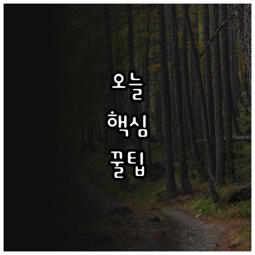 최대 100만원 과태료? 서초구 대형폐기물 처리법 이걸로 끝