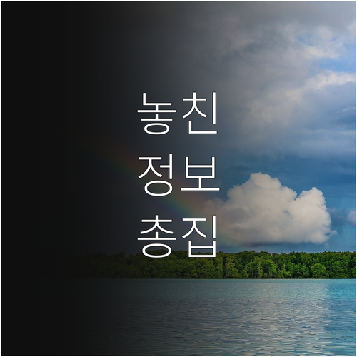송파구 대형폐기물 스티커 없이 처리하는 법 과태료 없이 해결