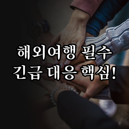 해외여행 안전망 긴급지원 서비스의 현장 대응 시스템