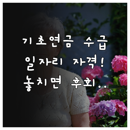 기초연금 수급자 시니어 일자리 참여 자격 확인 필수 정보
