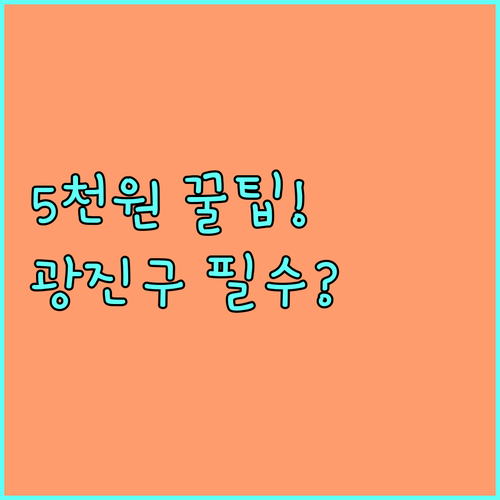 만 20세 이상 2025년 광진구 5천원 건강검진 필수 정보 확인