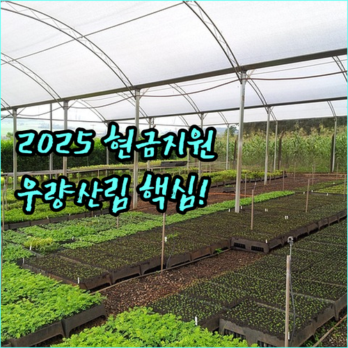 법률 근거 2025 숲가꾸기 현금 지원 우량 산림 육성 방법 안내