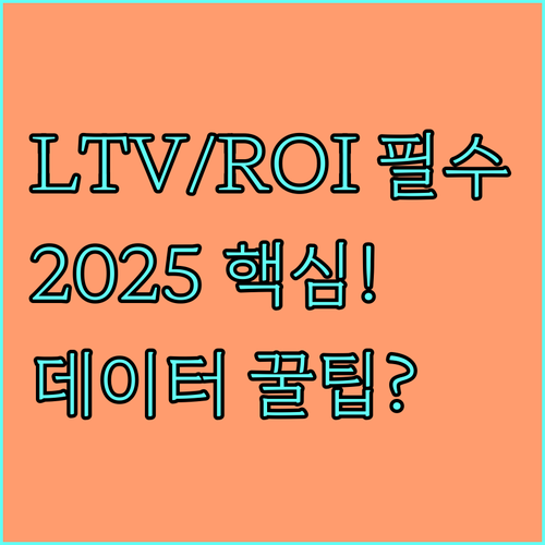 2025년 마케팅 성과 극대화 전략 데이터 기반 LTV와 ROI 측정