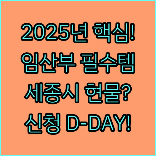 2025 세종시 임산부 필수 영양제 현물 지급 시기와 신청 절차