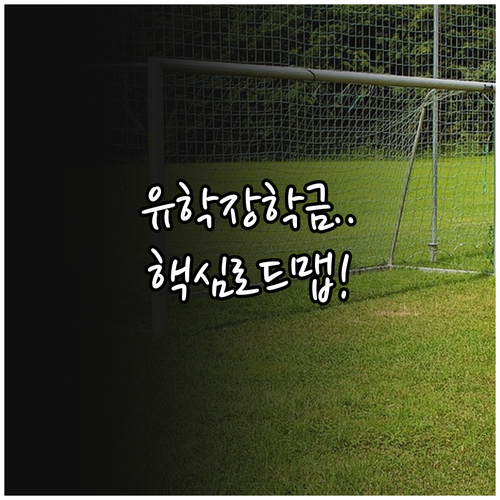 해외 유학 장학금 성공을 위한 조기 준비와 서류 작성 치밀한 로드맵