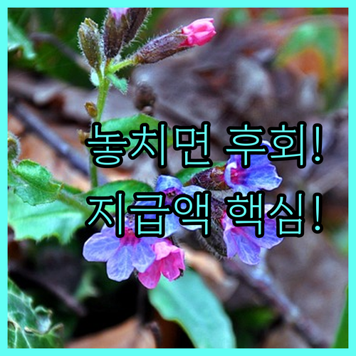2025년 진폐위로금 핵심 요약 장해등급별 지급액과 신청 기한