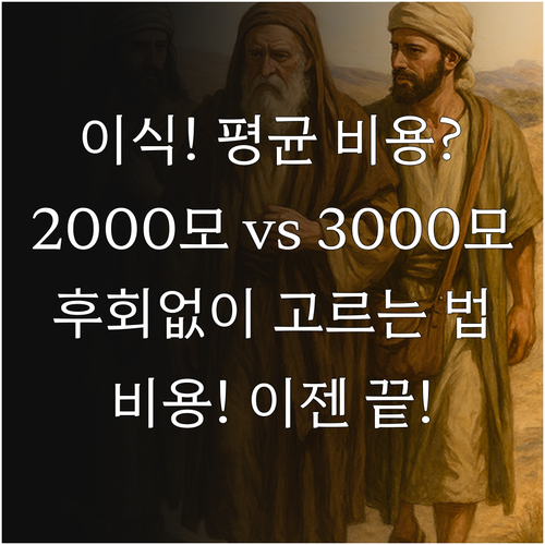 모발이식 2000모 3000모 평균 비용과 합리적 선택