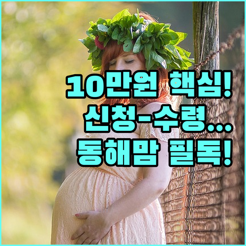 동해시 임산부 교통비 10만 원 지원 2025 신청부터 수령까지 요약