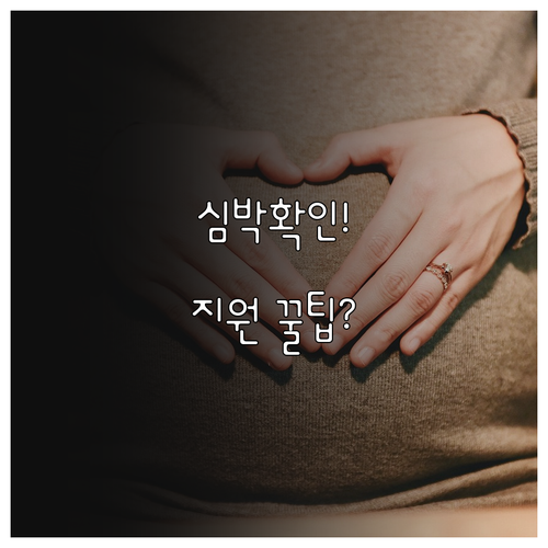 태아 심박동 확인 후 임신 확인서 발급과 지원 이용