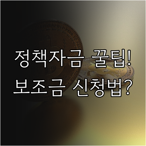 정부 정책 자금 확보: 융자 보조금 선택 및 단계별 신청 절차
