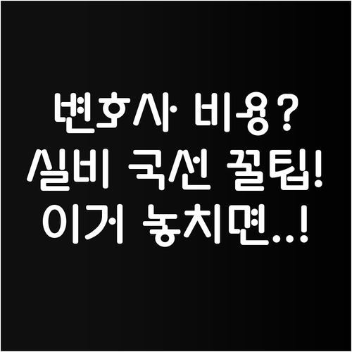 형사 사건 변호사 착수금 실비 국선 변호인 제도 완벽 이해