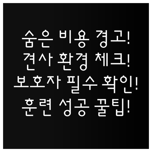 훈련소 비용 외 추가 비용 항목과 견사 환경 점검의 중요성
