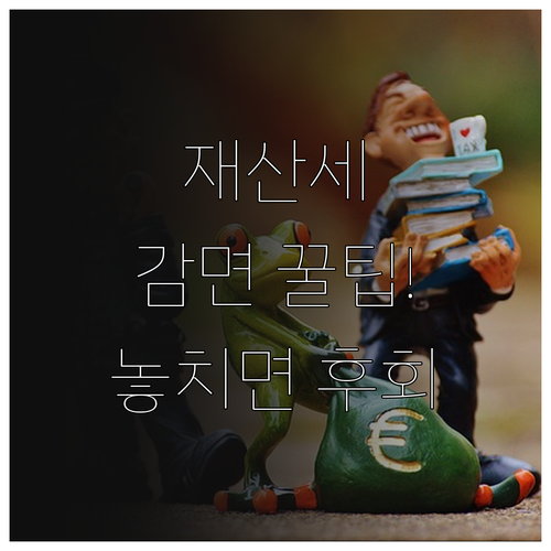재산세 감면 혜택 누락 없이 받는 필수 신청 절차와 기한