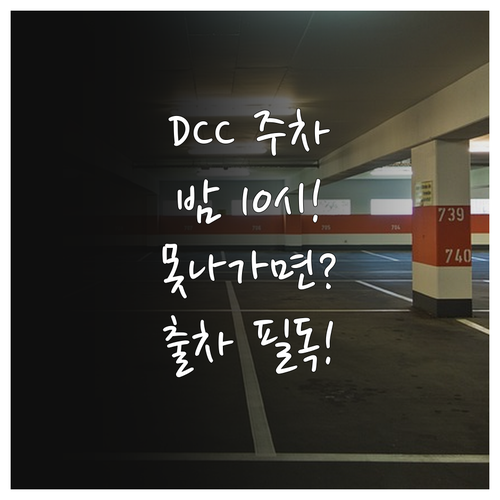 DCC 주차장 주말 공휴일 밤 10시 통제 정책 및 출차 규정 상세 안내