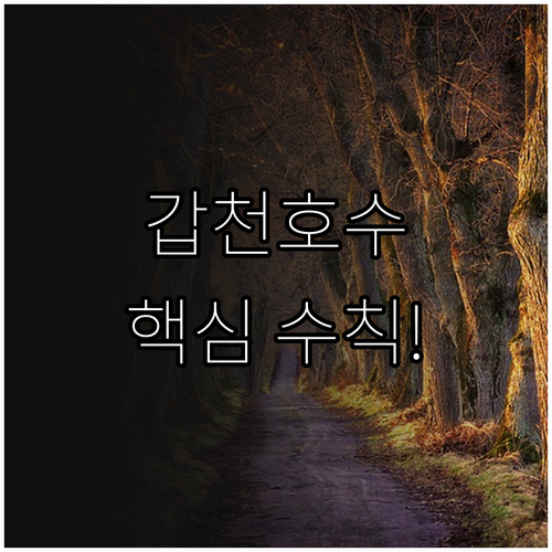 대전 생태 복원의 상징 갑천호수공원 2.7km 순환로 이용 수칙