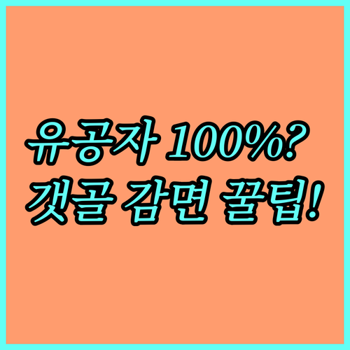 만 65세 이상 국가유공자 100% 할인 2025 갯골캠핑장 감면 신청 완벽 정리