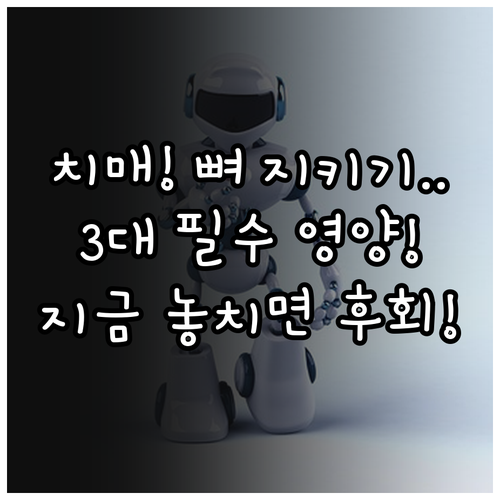 골다공증과 치매 예방 노년기 3대 필수 영양소 복용법