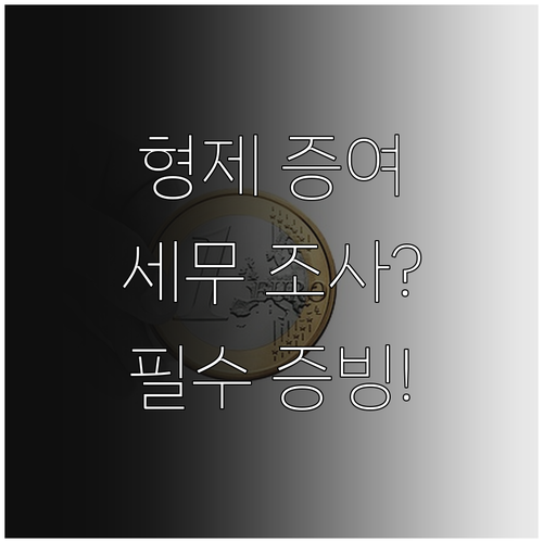형제자매 증여 시 세무 조사 대비 필수 증빙 자료와 신고 기한