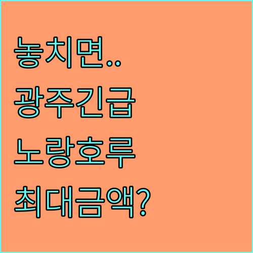 2025 광주 위기가정 긴급지원 | 노랑호루라기 신청 자격 및 금액