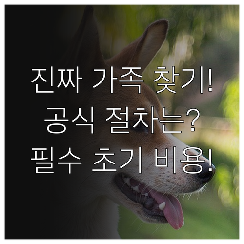 책임 있는 유기견 입양의 공식 절차와 필수 초기 비용 분석