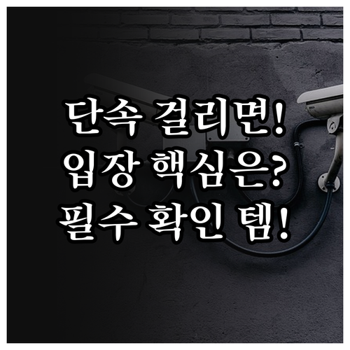 불법 양도 단속부터 지연 입장까지! 대전 콘서트 관람 핵심 규정