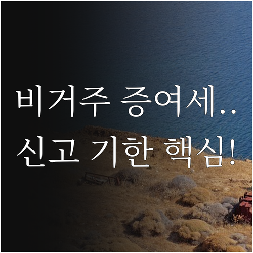 비거주자 국내 자산 증여세: 과세 대상 납세 의무 신고 기한