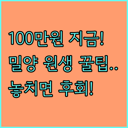 2025 밀양시 학업 목적 전입 지원 대학원생 100만원 상시 접수