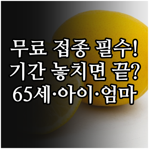 만 65세 이상 어린이 임신부 독감 무료 접종 기간 안내