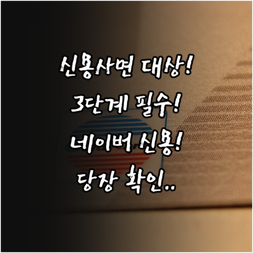 네이버페이 신용관리로 정부 신용사면 조치 대상 여부 3단계 확인