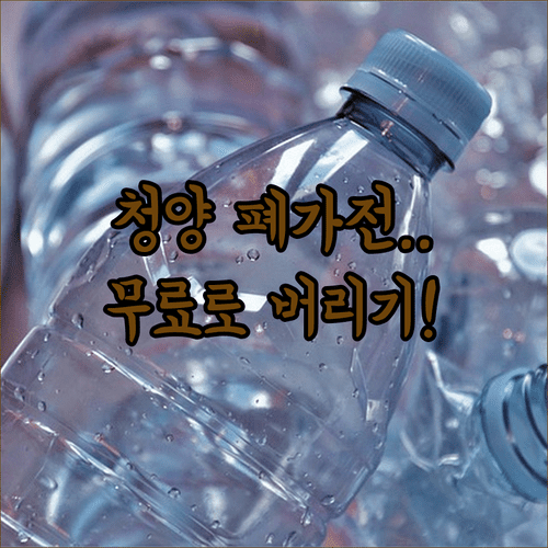 image 01871902